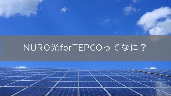 NURO光 for TEPCOを解説